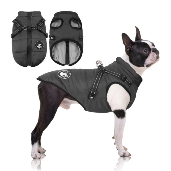 LUOWAN Hundemantel mit Geschirr – Wasserdicht & Warm für kleine Hunde