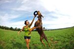 Chuckit! Zipflight Medium Doppelpack – Robuste Neopren-Frisbee für Hunde, 21 cm – Bild 8