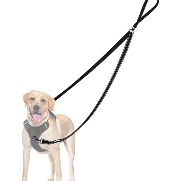 PetBonus No Pull Hundeleine mit Doppelclip – Anti-Zieh Trainingsleine für Hunde