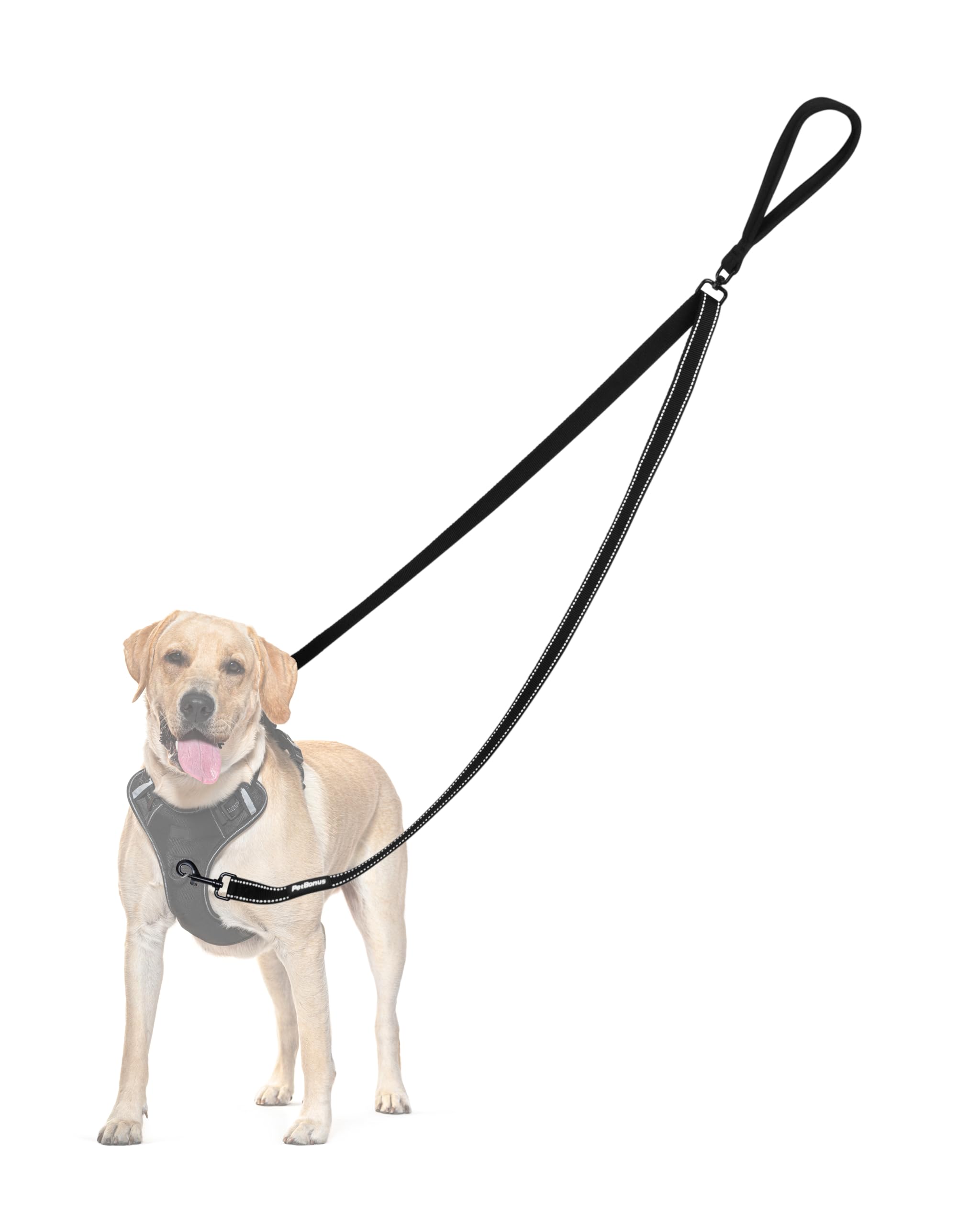 PetBonus No Pull Hundeleine mit Doppelclip – Anti-Zieh Trainingsleine für Hunde