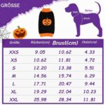 Asmea Hundepullover Halloween Kürbis-Kostüm Größe M – Weiches Hundekostüm für kleine & mittlere Hunde – Bild 3