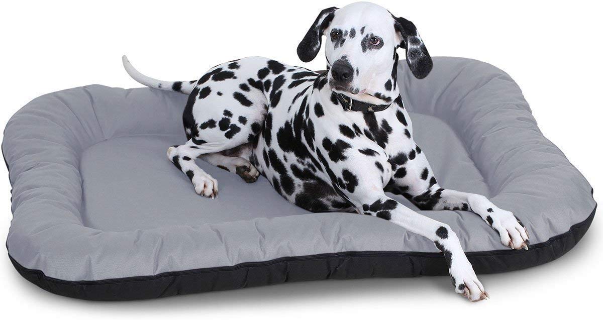 Knuffelwuff Hundebett Lucky XXL 118x85cm – Wasserfestes In- & Outdoor Nylonbett mit abnehmbarem Bezug