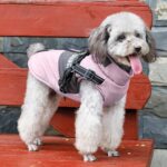 Oslueidy Winterjacke für Hunde – Wasserdichte Wärmejacke mit Reflektoren für kleine & mittelgrosse Hunde – Bild 6
