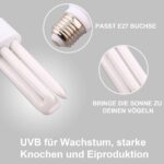 DERNORD UVB UVA Vogellampe E27 20W – Vollspektrum Wärmebirne für Papageien – Bild 3