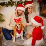 ZTA Weihnachts-Haustierschal Rot Grösse S – Gestricktes Kostüm für Hunde & Katzen – Bild 6