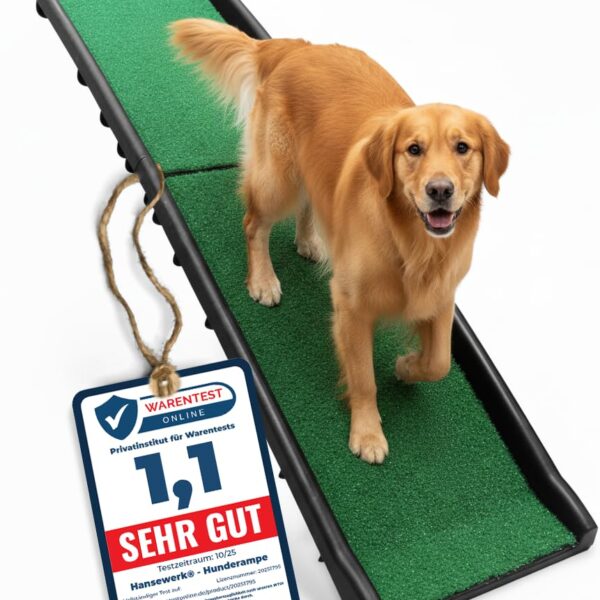 HANSEWERK Hunderampe klappbar rutschfest bis 90 kg – Gelenkschonende Autorampe 157x40 cm