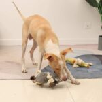 Sedioso Hundespielzeug Tauziehen – Plüsch-Kauspielzeug mit Quietscher für alle Hunderassen – Bild 4