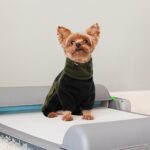 PUMYPOREITY Wintermantel Hund M – Warmer Schneeanzug mit Bauchschutz & abnehmbarem Schal – Bild 5