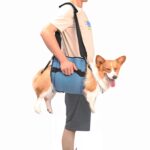 COODEO Hundetragegurt L Blau – Mobilitätshilfe für ältere Hunde & Gelenkprobleme