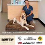 BEDSURE Orthopädisches Hundebett 89x63cm – Ergonomisches Hundesofa für Mittelgrosse Hunde – Bild 2