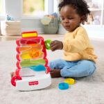 Fisher-Price Drop Through Rock-a-Stack – Motorik-Spielzeug für Babys ab 9 Monaten – Bild 2