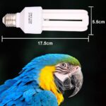 DERNORD UVB UVA Vogellampe E27 20W – Vollspektrum Wärmebirne für Papageien – Bild 2