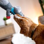 Nobby Plüsch Esel 56 cm mit Squeaker – Interaktives Hundespielzeug für Welpen – Bild 6