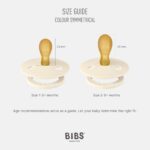 BIBS Colour Schnuller 0-6 Monate, 4er-Pack Cloud Mix – Symmetrischer Naturkautschuk – Bild 3