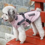 Oslueidy Winterjacke für Hunde – Wasserdichte Wärmejacke mit Reflektoren für kleine & mittelgrosse Hunde – Bild 5