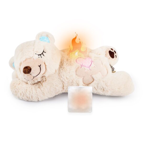 ALL FOR PAWS Little Buddy Hundespielzeug Bär – Kuscheliges Spielzeug für kleine Hunde