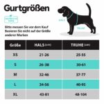 PoyPet No-Pull Hundegeschirr M – Reflektierendes Brustgeschirr ohne Würgen für Mittelgrosse Hunde – Bild 2