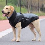 Idepet Hundemantel wasserdicht & warm – Reflektierender Schneeanzu für mittelgrosse Hunde – Bild 3
