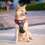 PHOEPET Hundegeschirr M Anti-Zug mit Griff – Verstellbar & Reflektierend für Mittelgrosse Hunde – Bild 7