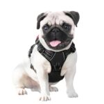 PHOEPET Hundegeschirr M mit Front-Clip & Reflektoren – Anti-Zug-Weste für kleine Hunde – Bild 7
