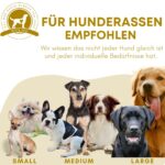 Riolino Kauknochen L Grau – Robustes Hundespielzeug aus Naturkautschuk mit Zahnpflege – Bild 5