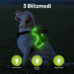 MASBRILL LED Hundegeschirr Grün S – Aufladbar & Reflektierend für sichere Nachtspaziergänge – Bild 2