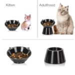 vootun Erhöhter Katzennapf mit 15° Neigung – Anti-Erbrechen Fressnapf für Katzen & kleine Hunde – Bild 4