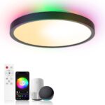 Birnetek® 30W LED Deckenlampe Rund – Smart Home Deckenleuchte mit Sprachsteuerung & RGB