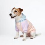 Spark Paws Hunde-Kapuzenpullover Grösse L – Premium Butter-Stretch für grosse Rassen