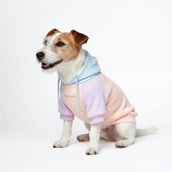 Spark Paws Hunde-Kapuzenpullover Grösse L – Premium Butter-Stretch für grosse Rassen