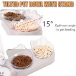 Speedy Panther 3-in-1 Katzennapf Set mit Wasserspender – Ergonomisch für Katzen & kleine Hunde – Bild 2