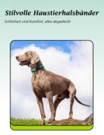 Yonsbox Personalisiertes Reflektierendes Hundehalsband mit Gravur – Sicherheit & Komfort – Bild 9