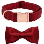 Lionet Paws Hundehalsband mit abnehmbarer Fliege – edles Seidenband für mittlere Hunde