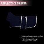 Morezi Winterhundejacke M mit Flusenfutter & Klettverschluss – Wärmeschutz für kleine Hunde – Bild 4