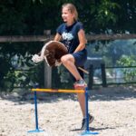 Hobby Horse Land Sunny Dream A3 – Steckenpferd mit Glitzer-Trense für Kinder ab 5 – Bild 3