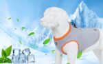 MOKCCI Truelove Kühlweste für Hunde – Verdunstungskühlung für Outdoor & Training – Bild 9