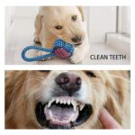Toozey Hundespielzeug 7er Set für kleine Hunde – Kauspielzeug & Quietschspielzeug aus Naturbaumwolle – Bild 5