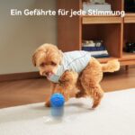 Cheerble Wicked Ball AIR Neo – Intelligenter Hundeball mit Herzschlag-Beruhigungsmodus für kleine & mittlere Hunde – Bild 2