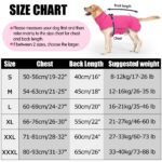 HEYWEAN Winterhundemantel wasserdicht mit Fleece – Warme Hundejacke für kleine bis grosse Hunde – Bild 2