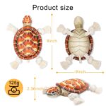Pubialo Hundespielzeug Schildkröte – Quietschendes Plüsch-Kauspielzeug für alle Hunderassen – Bild 3