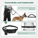 Heelay Joggingleine mit Bauchgurt & Hüfttasche – Freihandleine für alle Hundegrössen – Bild 4