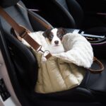 ClevaHome 3-in-1 Hundetasche mit Fleece – Autositz & Bett für kleine Hunde bis 4,5 kg – Bild 4