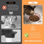 6er Katzen-Napfset Keramik mit Boho-Muster – Flacher Futternapf für Nass- & Trockenfutter – Bild 7