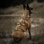 OneTigris HOUNDLOCK Taktisches Hundegeschirr – Ausbruchsicher & Komfortabel in Grösse M – Bild 8