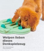 Outward Hound Puppy Hide N' Slide Level 2 – Interaktives Denkspielzeug für Welpen – Bild 5