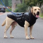 Idepet Hundemantel wasserdicht & warm – Reflektierender Schneeanzu für mittelgrosse Hunde – Bild 4