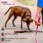 SNOOT 10m Schleppleine Magenta mit Handschlaufe – Trainings-Leine für Hunde bis 20kg – Bild 5