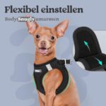 rabbitgoo Hundegeschirr Grösse S mit Air-Mesh – Step-In Ausbruchsicher für kleine Hunde – Bild 6