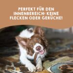 MAIKAI 2er Packung Hirschgeweih XL für Hunde – Natürlicher Kauknochen für Zahngesundheit – Bild 6