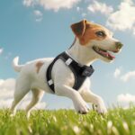 PcEoTllar LED-Hundegeschirr XS aufladbar – 9 Modi, reflektierend für kleine Hunde – Bild 7